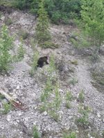 Wundervolle tierische Begegnung (1)