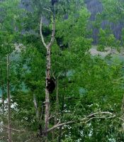 Wundervolle tierische Begegnung (16)