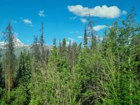 Impressionen aus den Rockies (303)