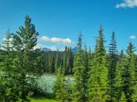 Impressionen aus den Rockies (285)