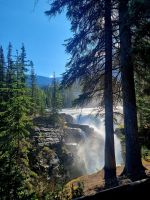 Impressionen aus den Rockies (248)