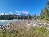 Impressionen aus den Rockies (274)