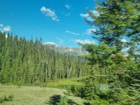 Impressionen aus den Rockies (304)