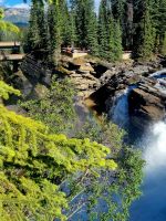 Impressionen aus den Rockies (262)