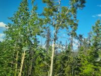 Impressionen aus den Rockies (301)