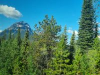 Impressionen aus den Rockies (311)