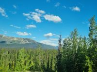 Impressionen aus den Rockies (307)