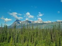 Impressionen aus den Rockies (310)