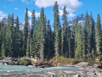 Impressionen aus den Rockies (235)