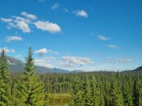 Impressionen aus den Rockies (308)