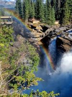 Impressionen aus den Rockies (266)