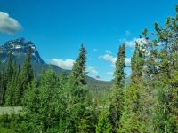 Impressionen aus den Rockies (312)