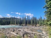 Impressionen aus den Rockies (320)