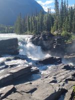 Impressionen aus den Rockies (237)