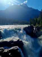 Impressionen aus den Rockies (243)