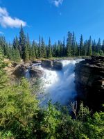 Impressionen aus den Rockies (254)