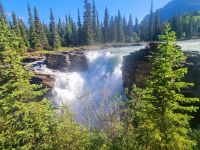 Impressionen aus den Rockies (252)