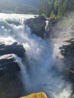 Impressionen aus den Rockies (242)