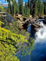 Impressionen aus den Rockies (261)