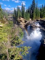 Impressionen aus den Rockies (268)