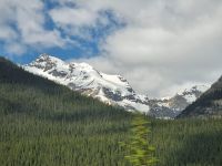 Impressionen aus den Rockies (52)