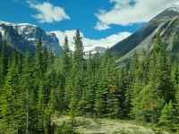 Impressionen aus den Rockies (63)