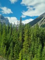 Impressionen aus den Rockies (64)