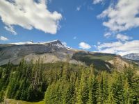 Impressionen aus den Rockies (100)