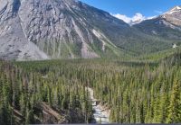 Impressionen aus den Rockies (168)