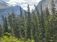 Impressionen aus den Rockies (159)