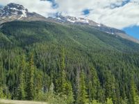 Impressionen aus den Rockies (156)