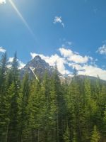 Impressionen aus den Rockies (233)