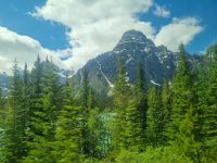 Impressionen aus den Rockies (223)