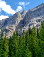 Impressionen aus den Rockies (191)