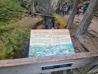 Maligne Canyon (19)