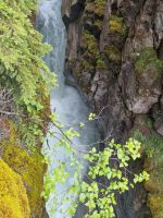 Maligne Canyon (29)