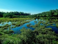 The Canadian Streckenimpressionen (6)