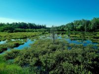 The Canadian Streckenimpressionen (7)