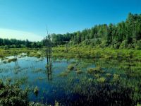 The Canadian Streckenimpressionen (8)