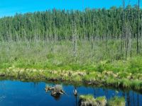 The Canadian Streckenimpressionen (9)