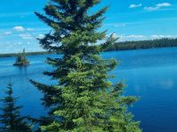 The Canadian Streckenimpressionen (11)