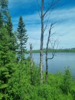 The Canadian Streckenimpressionen (21)