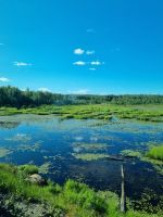 Die Weiten Ontarios (6)