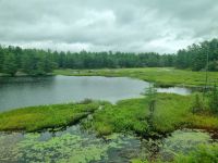 Die Weiten Ontarios (11)