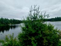 Die Weiten Ontarios (12)