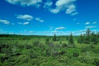 Die Weiten Ontarios (23)