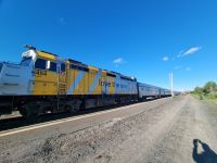 Unser Zug in Capreol (2)