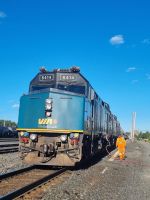 Unser Zug in Capreol (4)