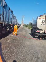 Unser Zug in Capreol (6)