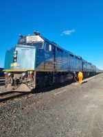 Unser Zug in Capreol (7)